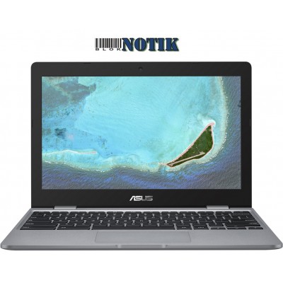 Ноутбук ASUS Chromebook C223NA C223NA-GJ0055, C223NA-GJ0055