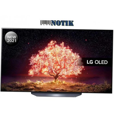 Телевизор LG OLED55B13, OLED55B13